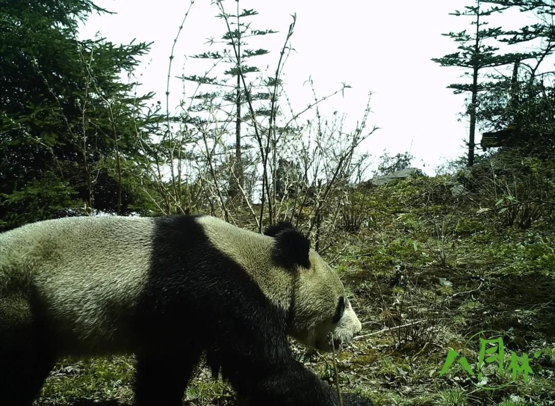 DG��Ѷ��(�й���)�ٷ���վ