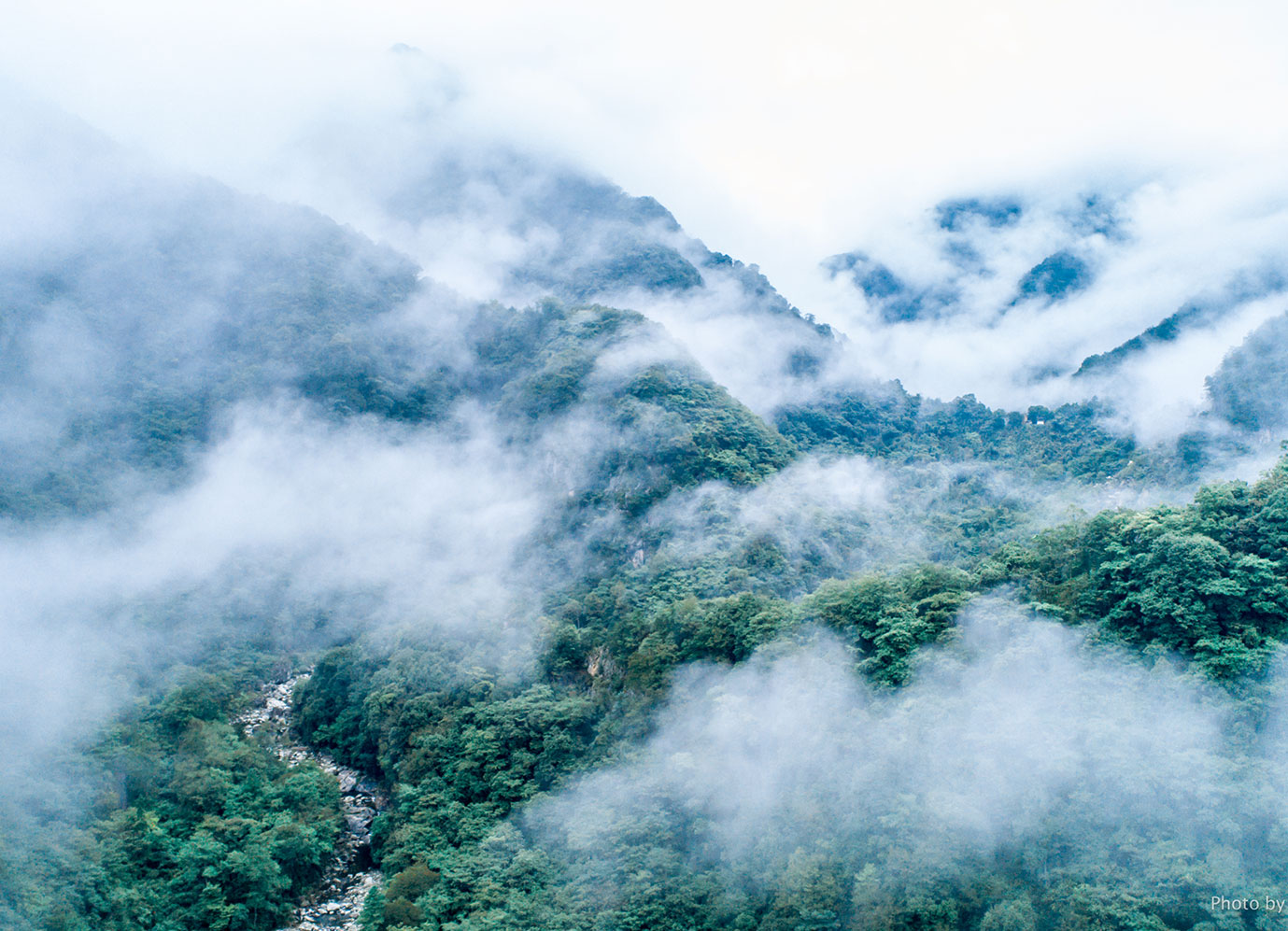 DG��Ѷ��(�й���)�ٷ���վ