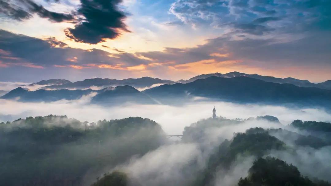 DG��Ѷ��(�й���)�ٷ���վ