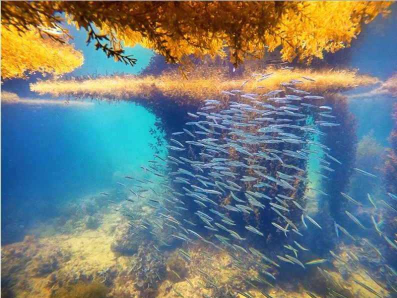 DG��Ѷ��(�й���)�ٷ���վ